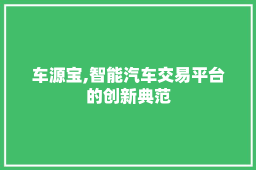 车源宝,智能汽车交易平台的创新典范