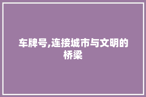 车牌号,连接城市与文明的桥梁