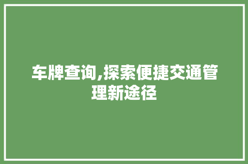 车牌查询,探索便捷交通管理新途径