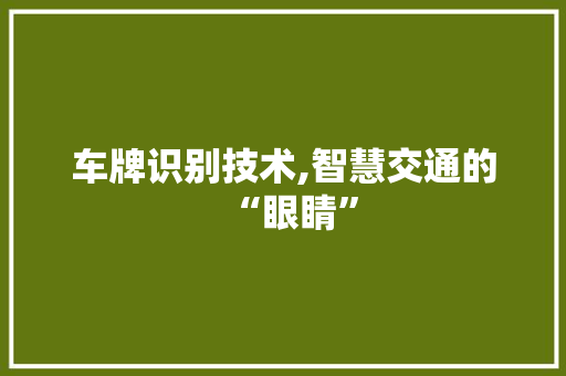车牌识别技术,智慧交通的“眼睛”