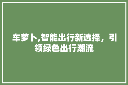 车萝卜,智能出行新选择，引领绿色出行潮流