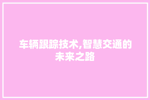 车辆跟踪技术,智慧交通的未来之路 电脑配置