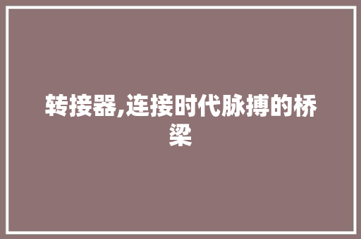 转接器,连接时代脉搏的桥梁 电脑配置