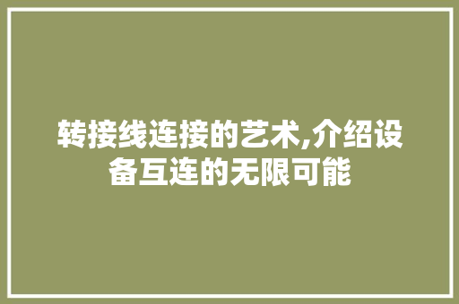 转接线连接的艺术,介绍设备互连的无限可能 网络技术