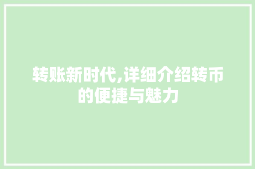 转账新时代,详细介绍转币的便捷与魅力