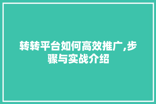转转平台如何高效推广,步骤与实战介绍