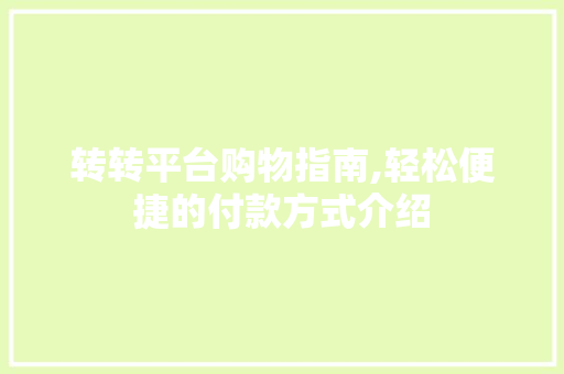 转转平台购物指南,轻松便捷的付款方式介绍
