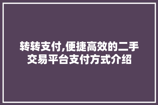 转转支付,便捷高效的二手交易平台支付方式介绍