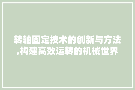 转轴固定技术的创新与方法,构建高效运转的机械世界