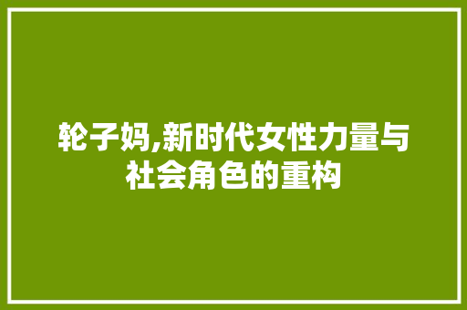 轮子妈,新时代女性力量与社会角色的重构