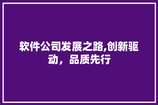 软件公司发展之路,创新驱动，品质先行