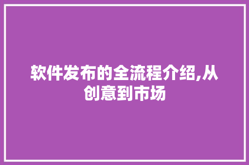 软件发布的全流程介绍,从创意到市场 编程语言
