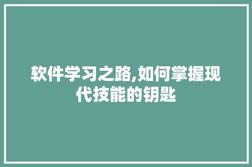 软件学习之路,如何掌握现代技能的钥匙 编程语言