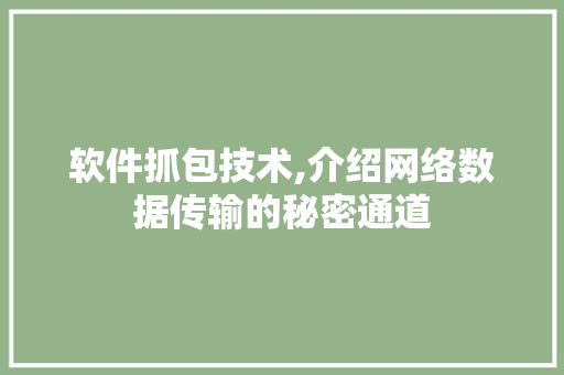 软件抓包技术,介绍网络数据传输的秘密通道