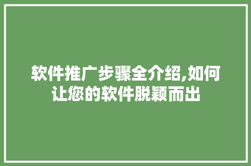 软件推广步骤全介绍,如何让您的软件脱颖而出