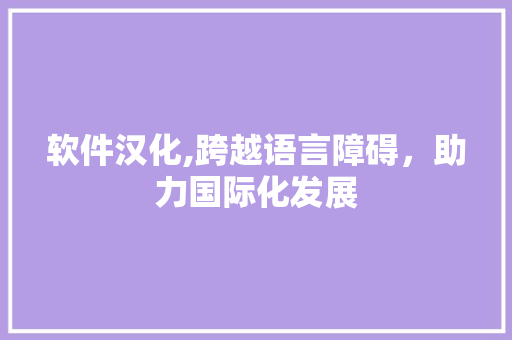 软件汉化,跨越语言障碍，助力国际化发展