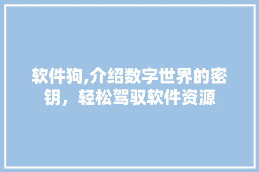 软件狗,介绍数字世界的密钥,轻松驾驭软件资源 电脑基础 软件狗,介绍数字世界的密钥,轻松驾驭软件资源 电脑基础