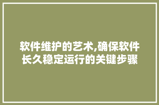 软件维护的艺术,确保软件长久稳定运行的关键步骤 编程语言