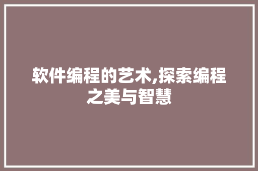 软件编程的艺术,探索编程之美与智慧