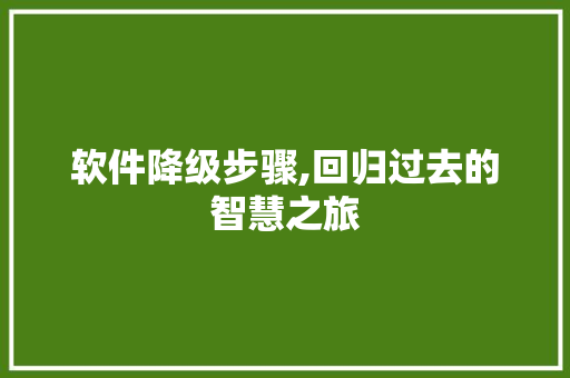 软件降级步骤,回归过去的智慧之旅