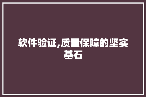 软件验证,质量保障的坚实基石