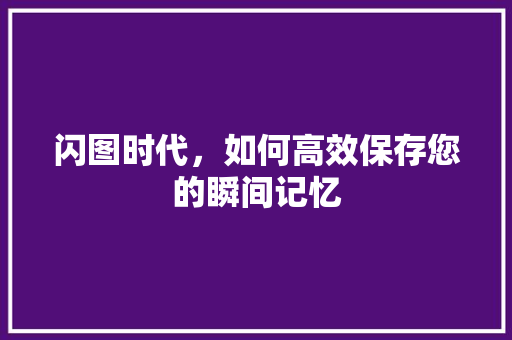 闪图时代，如何高效保存您的瞬间记忆