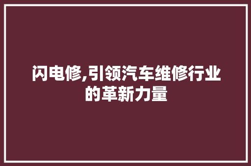 闪电修,引领汽车维修行业的革新力量