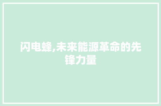 闪电蜂,未来能源革命的先锋力量