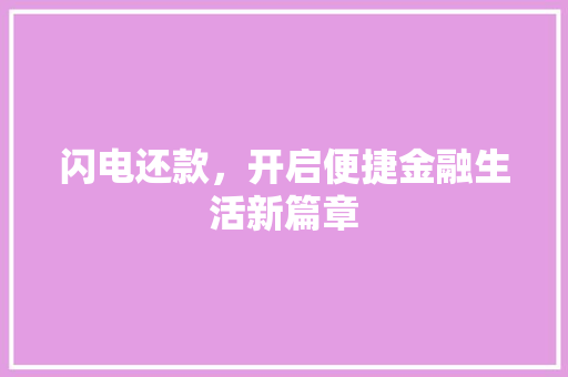 闪电还款，开启便捷金融生活新篇章