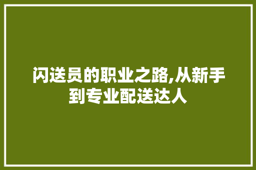 闪送员的职业之路,从新手到专业配送达人