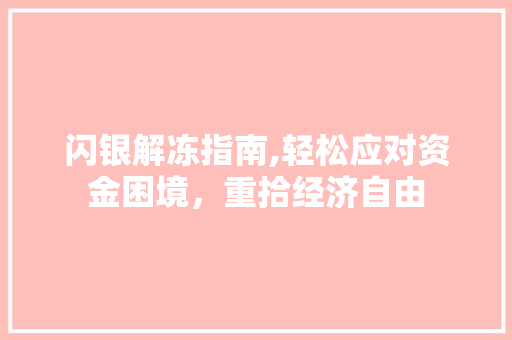 闪银解冻指南,轻松应对资金困境，重拾经济自由