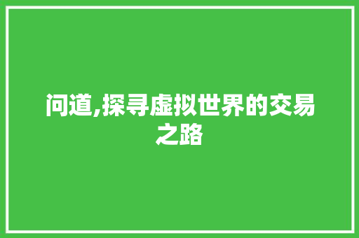 问道,探寻虚拟世界的交易之路