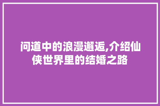 问道中的浪漫邂逅,介绍仙侠世界里的结婚之路