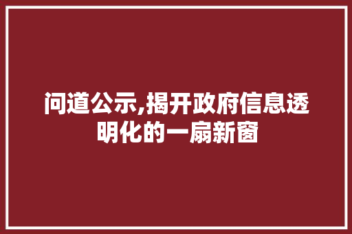 问道公示,揭开政府信息透明化的一扇新窗