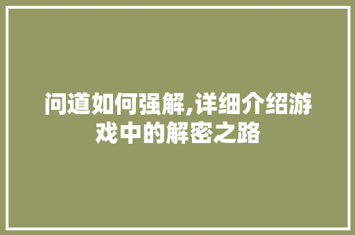 问道如何强解,详细介绍游戏中的解密之路