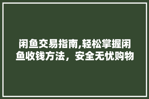 闲鱼交易指南,轻松掌握闲鱼收钱方法，安全无忧购物体验