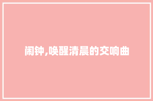 闹钟,唤醒清晨的交响曲