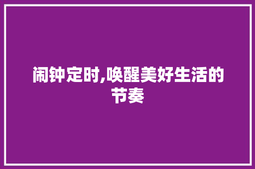 闹钟定时,唤醒美好生活的节奏 闹钟定时,唤醒美好生活的节奏