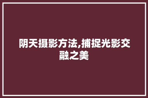 阴天摄影方法,捕捉光影交融之美