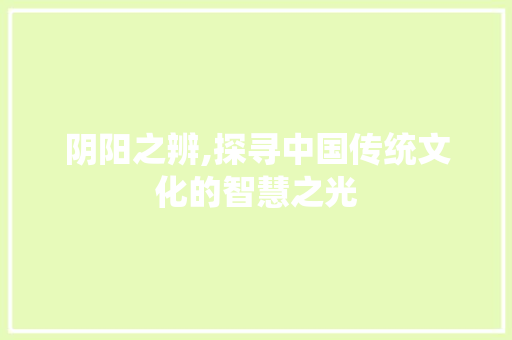 阴阳之辨,探寻中国传统文化的智慧之光