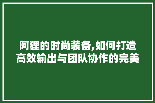 阿狸的时尚装备,如何打造高效输出与团队协作的完美搭档 阿狸的时尚装备,如何打造高效输出与团队协作的完美搭档