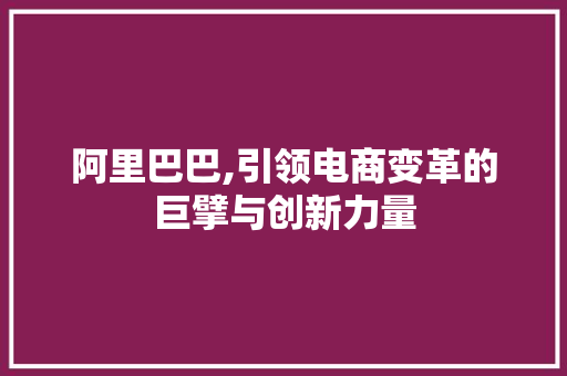 阿里巴巴,引领电商变革的巨擘与创新力量