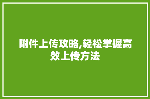 附件上传攻略,轻松掌握高效上传方法
