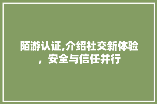 陌游认证,介绍社交新体验，安全与信任并行
