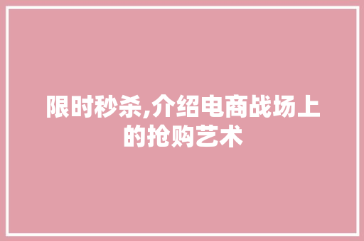 限时秒杀,介绍电商战场上的抢购艺术 限时秒杀,介绍电商战场上的抢购艺术
