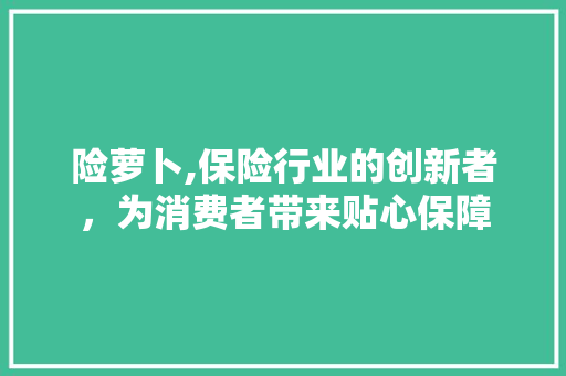 险萝卜,保险行业的创新者，为消费者带来贴心保障