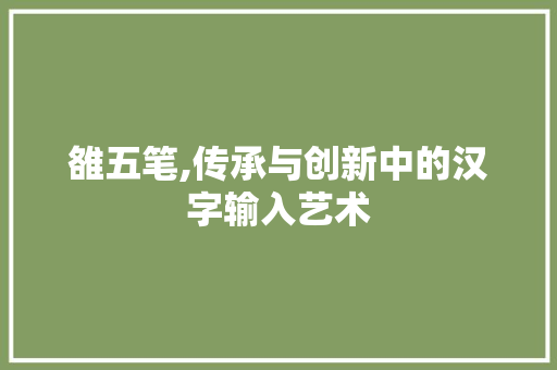 雒五笔,传承与创新中的汉字输入艺术 电脑配置