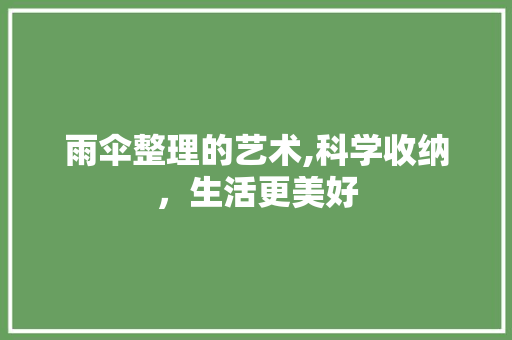 雨伞整理的艺术,科学收纳，生活更美好