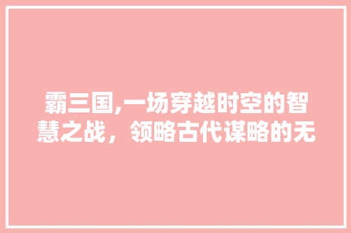 霸三国,一场穿越时空的智慧之战，领略古代谋略的无限魅力
