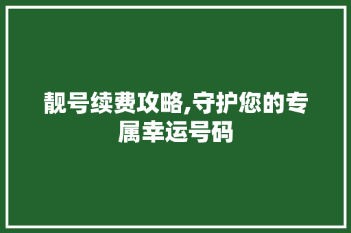 靓号续费攻略,守护您的专属幸运号码 操作系统